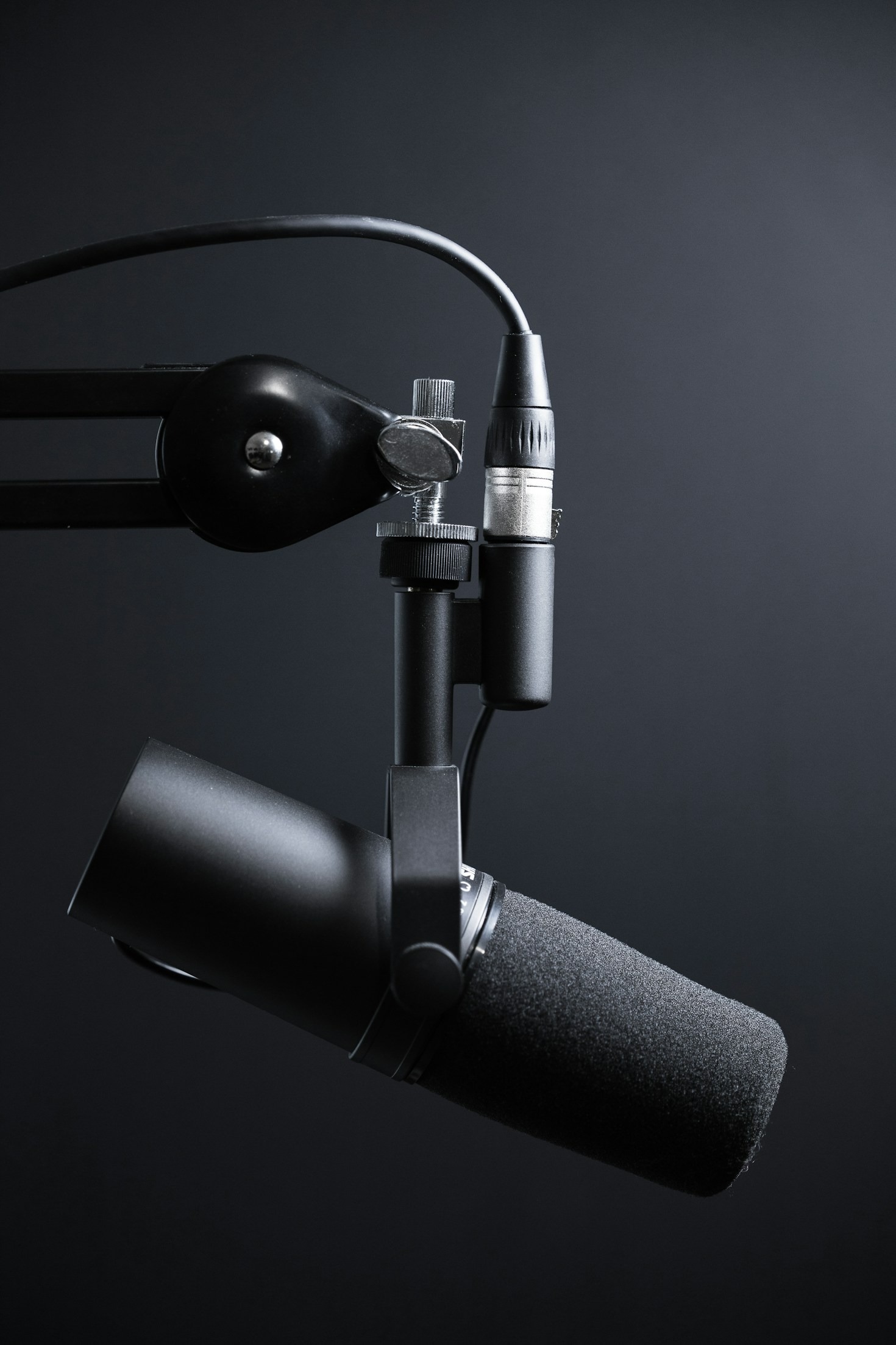 Creating Connections Through Studio Sitka’s Platform